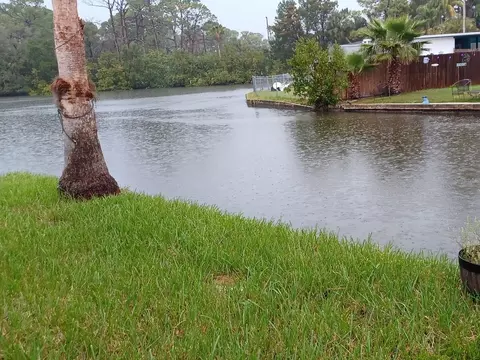 5029 Osprey Ln, New Port Richey, FL 34652