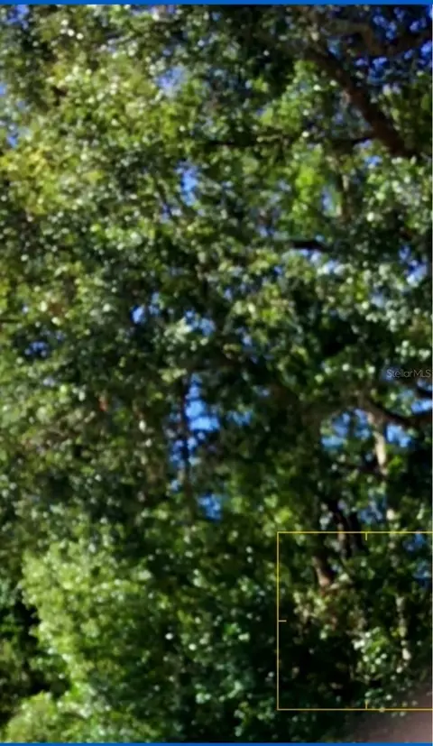 Monroe, Masaryktown, FL 34604