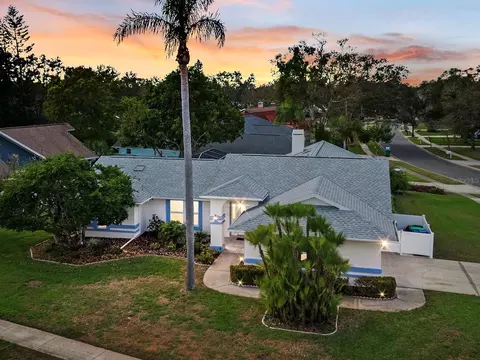288 Alpine Ct, Palm Harbor, FL 34683