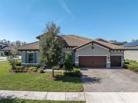 12399 Gulf Pine Spur, Odessa, FL 33556