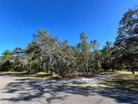 11056 Flatwood Ave, Spring Hill, FL 34613