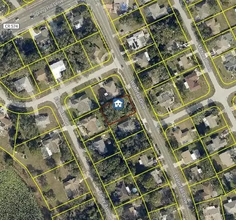 1339 Waterfall Dr, Spring Hill, FL 34608