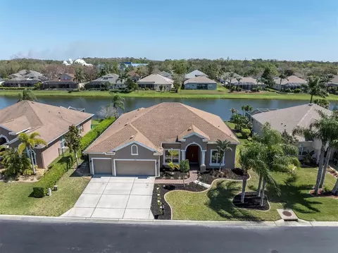 2330 Tarragon Ln, Trinity, FL 34655