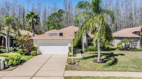 1107 Sweet Jasmine Dr, Trinity, FL 34655