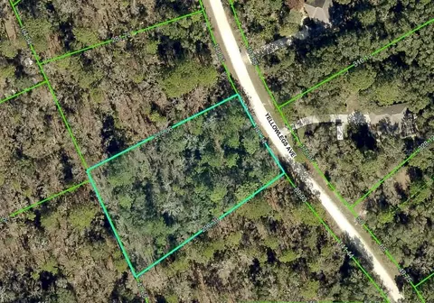 10520 Yellowlegs Ave, Weeki Wachee, FL 34614