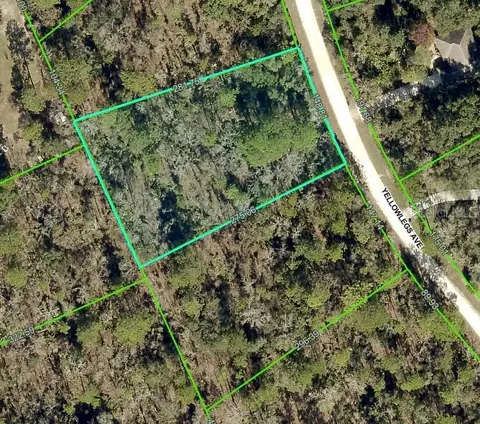 10506 Yellowlegs Ave, Weeki Wachee, FL 34614
