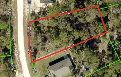 Crane Road, Brooksville, FL 34614