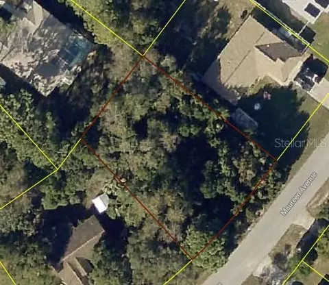 Maureen Avenue, Spring Hill, FL 34609