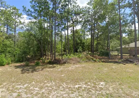 9771 N Mitchelle Dr, Citrus Springs, FL 34434