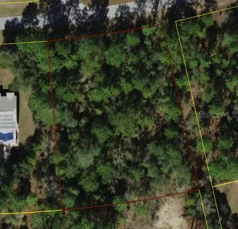 3614 W Giraffe Dr, Citrus Springs, FL 34433