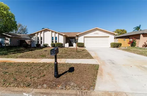11001 Peppertree Ln, Port Richey, FL 34668