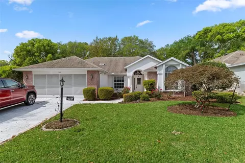 2309 Terrace View Ln, Spring Hill, FL 34606