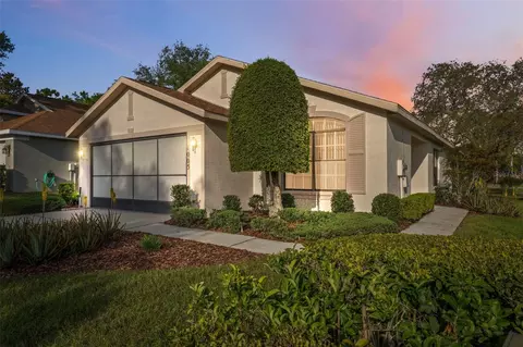 1005 Indigo Run Ct, Spring Hill, FL 34609
