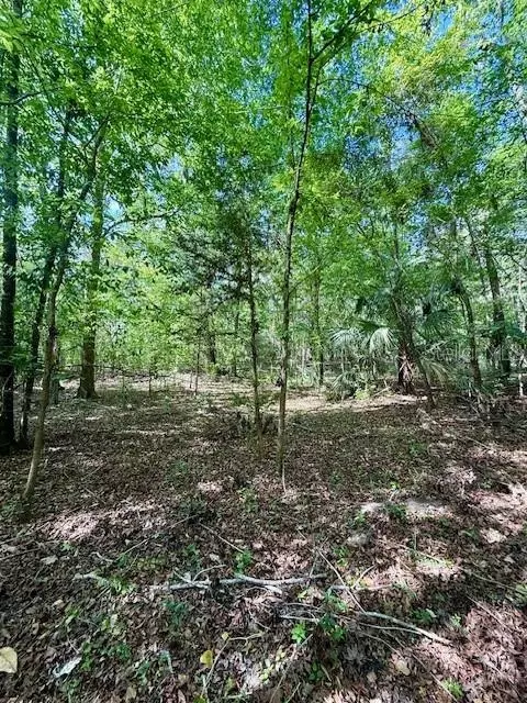 14037 Old Crystal River Rd, Brooksville, FL 34601