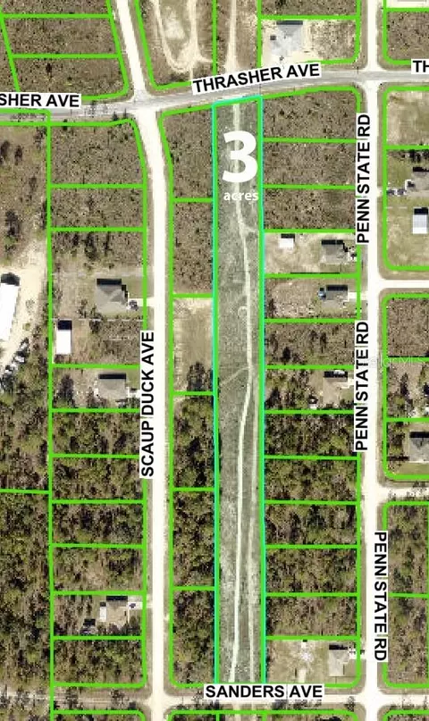 Thrasher Power Lines Avenue, Brooksville, FL 34614