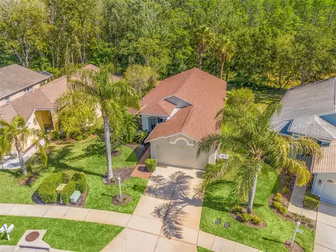 1013 Sweet Jasmine Dr, Trinity, FL 34655