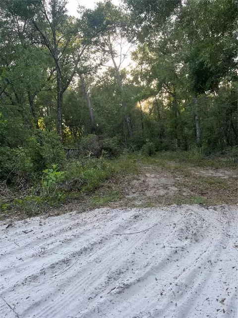 Havenwoods Road, Spring Hill, FL 34610