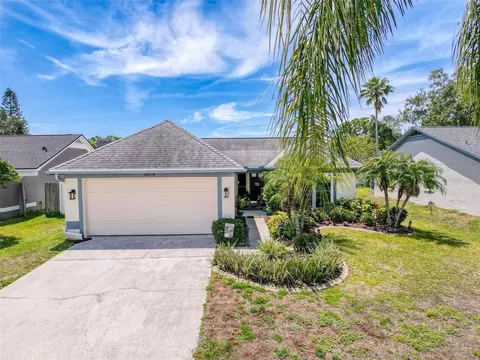 3074 Cara Ct, Palm Harbor, FL 34684