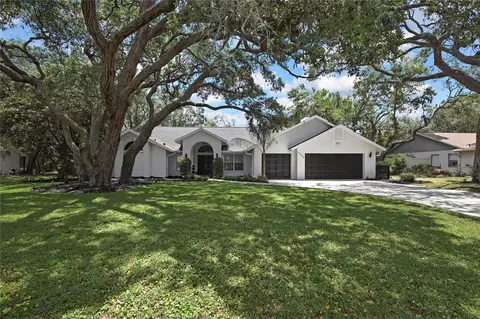 7233 Royal Oak Dr, Spring Hill, FL 34607