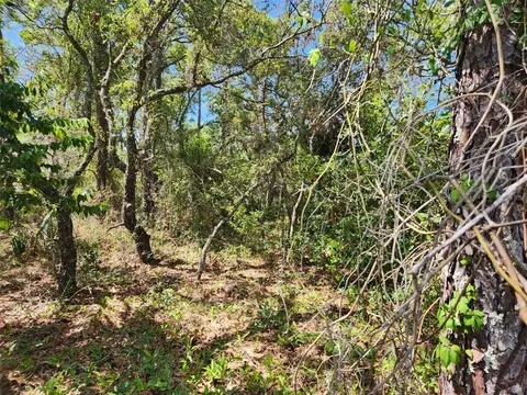 0 Day Owl Ave Apt Lot #LOT 7, Weeki Wachee, FL 34613