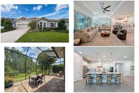 15355 Renaissance Ave, Odessa, FL 33556