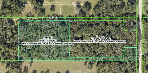 Endsley, Brooksville, FL 34604