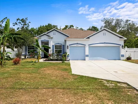 6273 Pinehurst Dr, Spring Hill, FL 34606