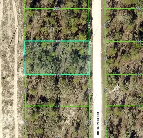 15157 Goldeneye Rd, Weeki Wachee, FL 34614