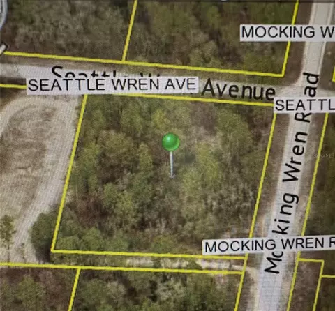 11288 Seattle Wren Ave, Weeki Wachee, FL 34614
