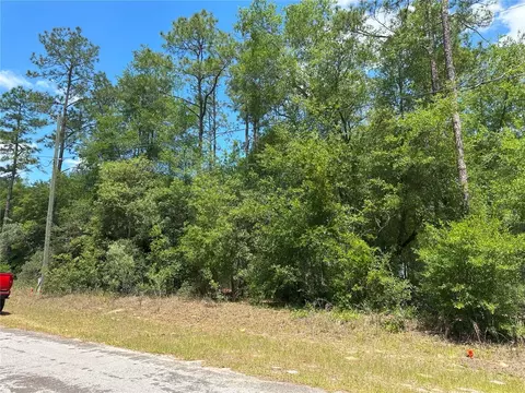 1571 W Alexander Dr, Citrus Springs, FL 34434