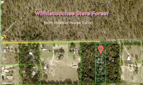 0 Wildlife Ln, Brooksville, FL 34602