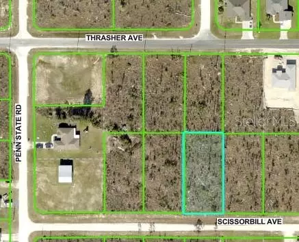 Scissorbill Avenue, Brooksville, FL 34614