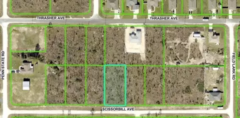 Scissorbill Avenue, Brooksville, FL 34614