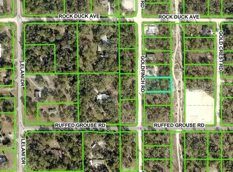 Goldfinch Road, Brooksville, FL 34614