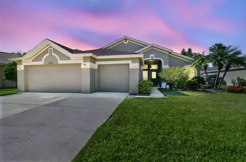 22431 Willow Lakes Dr, Lutz, FL 33549