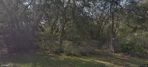 7129 Ricker Ave, Webster, FL 33597