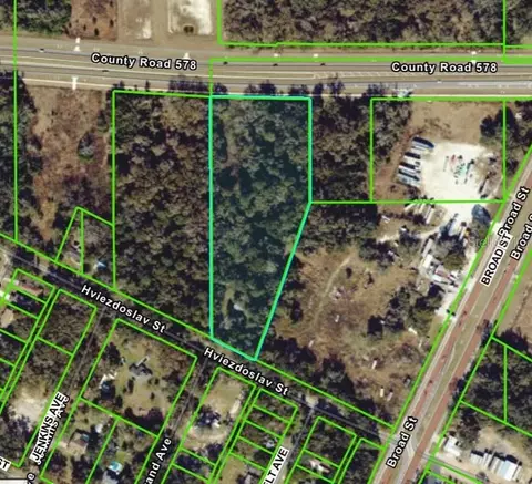 16407 Hviezdoslav St, Brooksville, FL 34604