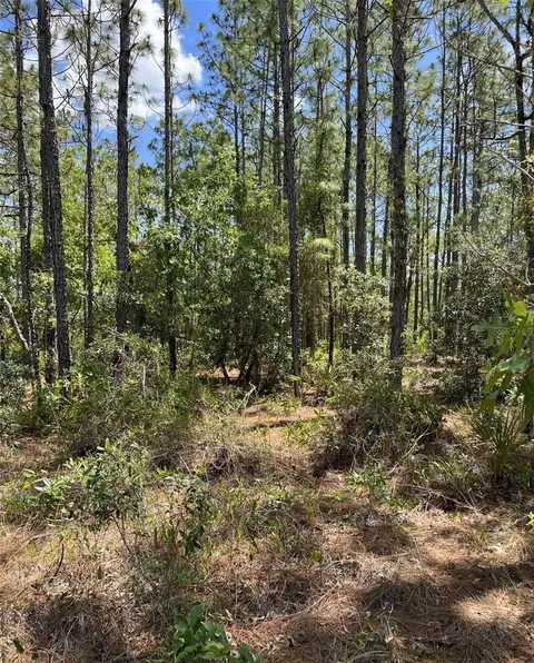 00 Pomp Lot7003 Pkwy, Weeki Wachee, FL 34614