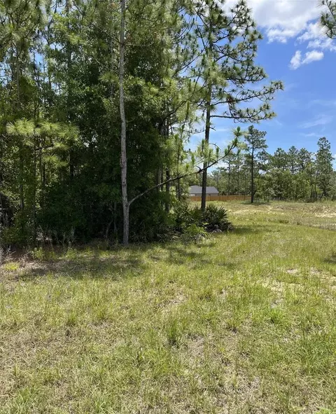 0 Celeste Lot6 Ave, Weeki Wachee, FL 34614