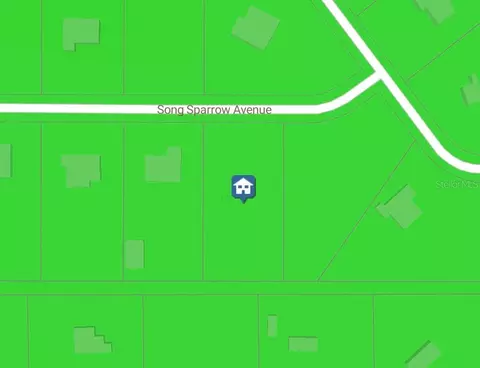 11114 Song Sparrow Ave, Brooksville, FL 34614