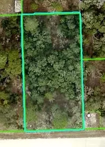Mississippi Kite Avenue, Brooksville, FL 34614