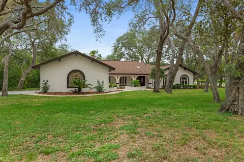 4595 Lake In The Woods Dr, Spring Hill, FL 34607