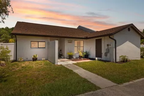 11402 Shallowbrook Pl, Tampa, FL 33624