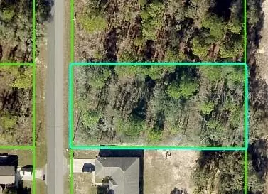 15234 Pomp Pkwy, Weeki Wachee, FL 34614