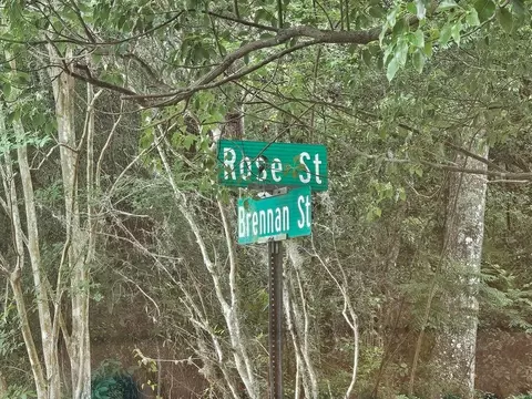 Brennan Street, Brooksville, FL 34601