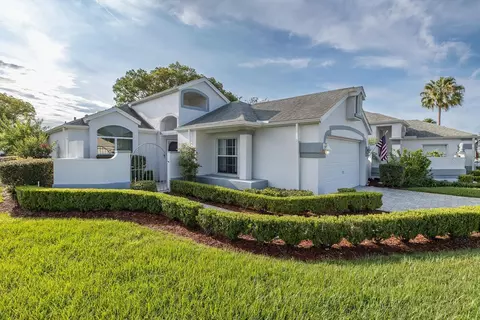 1084 Vista Fina Ct, Spring Hill, FL 34608