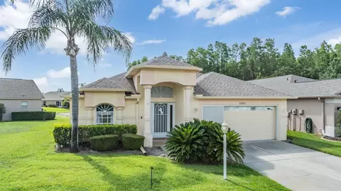 12027 Yellow Finch Ln, Trinity, FL 34655