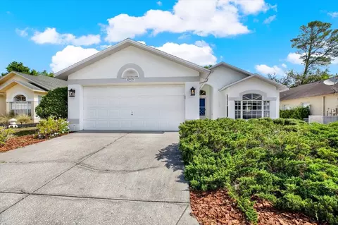 10935 New Brighton Ct, New Port Richey, FL 34654