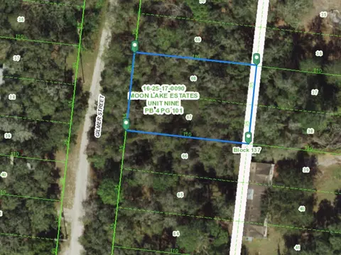 000 Gilmer St, New Port Richey, FL 34654