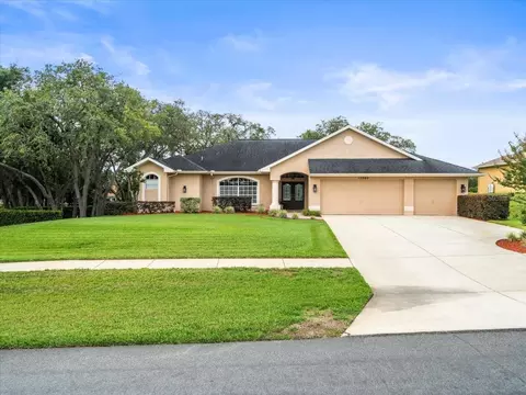 12060 Sapphire Dr, Spring Hill, FL 34609